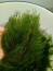 P_20180715_193814.jpg