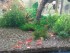 copy_131_IMG_20180402_184424.jpg