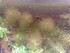 copy_145_150120081801.jpg