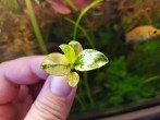 copy_207_20180707_111652.jpg