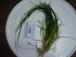 copy_278_DSC07124.jpg