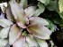 copy_791_20170221_151102.jpg