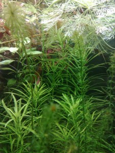 copy_944_120120081799.jpg