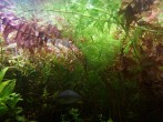 copy_954_copy_621_copy_377_IMG_20180623_175722.jpg