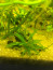 media-share-0-02-04-3a92692ecf46bb811398985a2852960cb48b8755a0e6178bb4b6f98e8df78f0c-3d03608c-753f-4099-bdf5-c13582628cb9.jpg