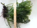 20180805_161036.jpg