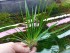 20180807_001153.jpg