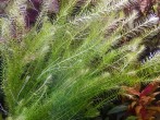 20180813_155902.jpg