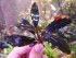 20180816_094653.jpg