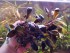 20180824_125444.jpg