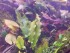 20180824_170319.jpg