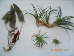 DSCN3639.JPG