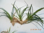 DSCN3642.JPG