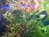 DSCN8367.JPG