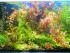 DSCN8744.JPG