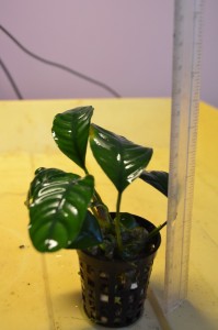DSC_0023.JPG