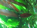 IMG_0639.JPG
