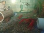 IMG_20180828_180104.jpg