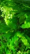P_20180428_181237_p.jpg
