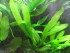 copy_107_copy_926_IMG_0631.jpg