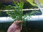 copy_648_copy_162_20180717_000714.jpg