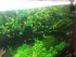 copy_665_copy_297_copy_62_copy_354_copy_761_copy_157_copy_233_copy_520_copy_343_SzGZGYVtpUc-2.jpg