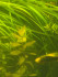 copy_906_media-share-0-02-04-e0e4c881e3291ea5be94d494b066d7d14c9d70da9bd422dda0bf9b605da4546b-9c4049d0-6de5-484a-8da2-53c99fa5db38.jpg