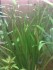 copy_976_220120081834.jpg