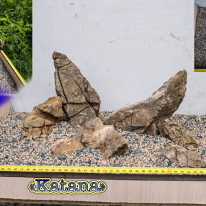 Знімок екрана 2018-08-06 о 16.01.18.png