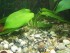 100_2609.JPG