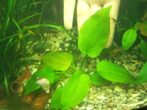 100_2616.JPG