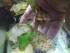 100_2679.JPG