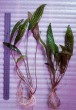 20180911_075955.jpg