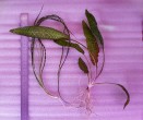 20180920_090610.jpg
