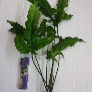 20180924_214737.jpg