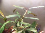 IMG_20160923_225557.jpg
