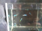 IMG_2018-09-02_152146.jpg