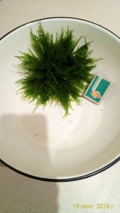 P_20180919_193727_p.jpg