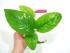 copy_275_copy_711_copy_134_copy_599_copy_283_copy_726_copy_550_copy_793_copy_393_copy_216_DSCN4334.jpg