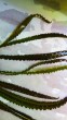 copy_658_IMG_20180213_182623.jpg