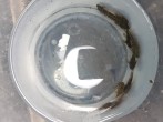 copy_79_20180829_074230.jpg