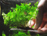 copy_804_copy_326_16987087475_81cbfe4c09.jpg