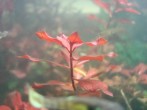 copy_898_DSC07200.jpg