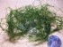100_2755.JPG