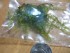 100_2764.JPG