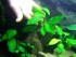 100_2835.JPG