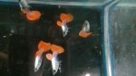 20180911_152653.jpg