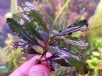 20181003_174649.jpg