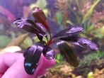 20181003_174740.jpg