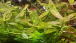 20181024_170602.jpg